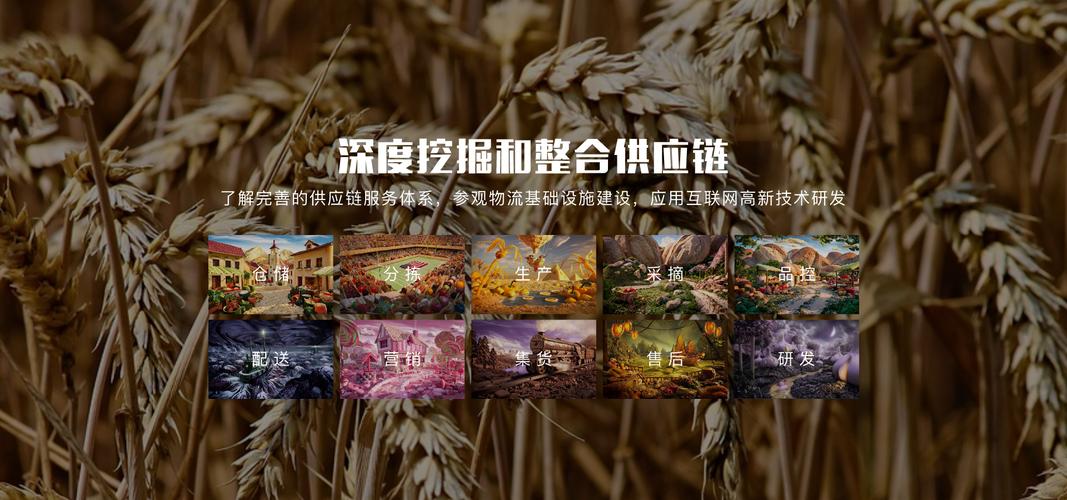有量 &ndash; 农产品数字化供应链服务提供商